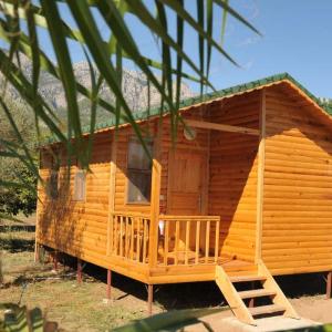 отель Elamir Beach Bungalow