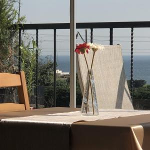 отель Antik Sofia Hotel