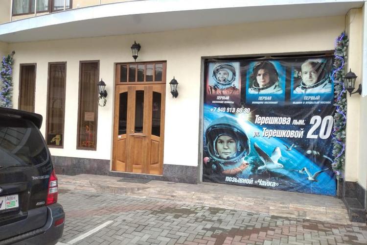 Полет чайки