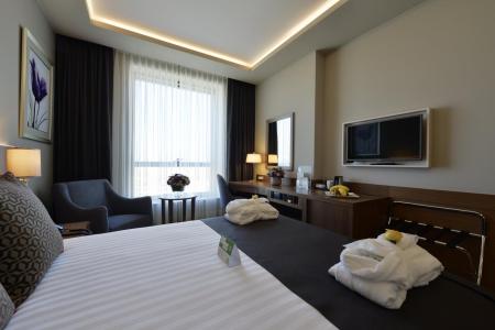 Отель Holiday Inn Bursa - City Centre в Бурса - Турция