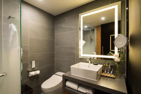 Отель Novotel Ambassador Seoul Dongdaemun Hotels & Residences в Сеул - Южная Корея