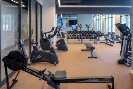 Отель Rove La Mer Beach в Джумейра - ОАЭ