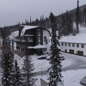 отель Три Совы