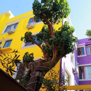 отель The Zanadu