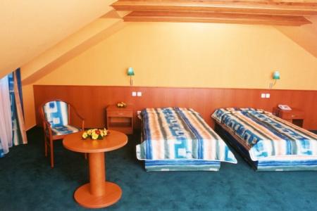 Dvorak Ceske Budejovice