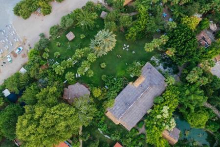 Отель Olympos Lodge (Cirali) в Кемер - Турция