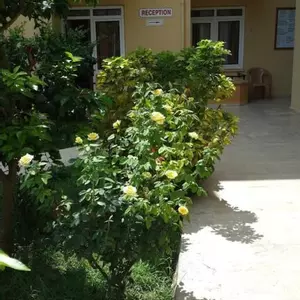 отель Caner Hotel