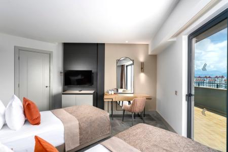 Calyptus Kirman Premium