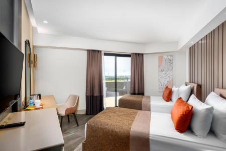 Calyptus Kirman Premium