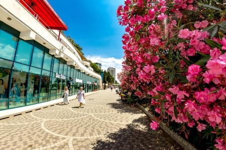 Отель Sharden Апарт-отель в Сочи - Россия