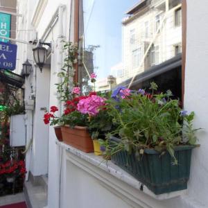 отель Sefa Hotel