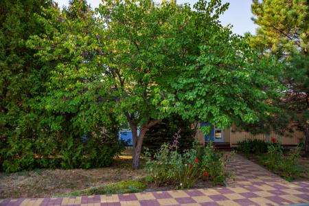 Шведская Деревня