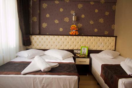 Отель Grand Esen Hotel в Сиркеджи - Турция