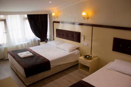 Отель Grand Esen Hotel в Сиркеджи - Турция