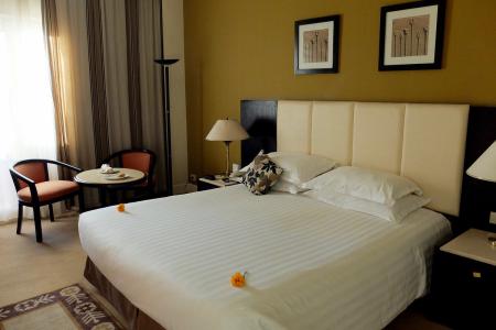 Отель Pavillon Winter Luxor в Луксор - Египет