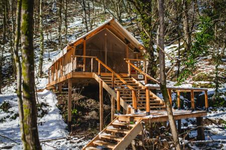 Отель Лес Глэмпинг и СПА в Красная Поляна - Россия