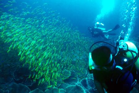 Отель El Nido Resorts Miniloc Island в о. Палаван - Филиппины