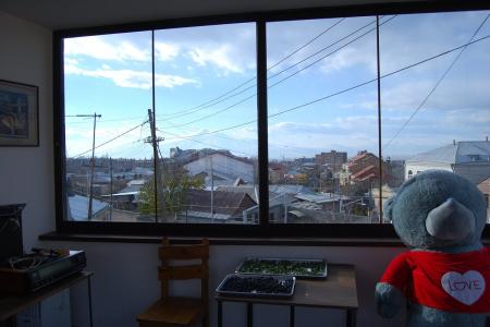 Отель Blur Inn Gallery в Ереван - Армения