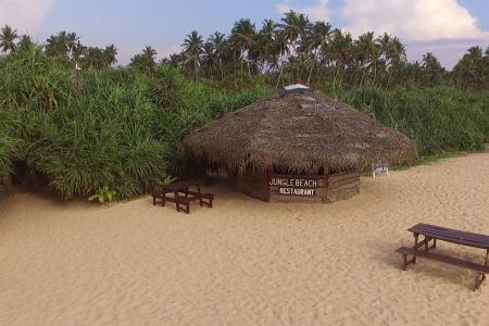 Отель Jungle Beach Camp Ahungalla в Ахунгала - Шри-Ланка