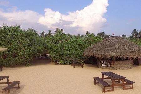 Отель Jungle Beach Camp Ahungalla в Ахунгала - Шри-Ланка