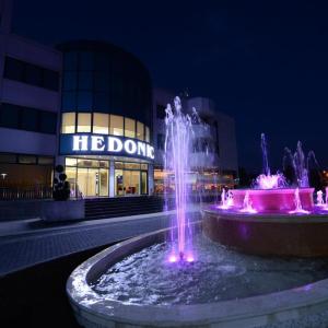 отель Hotel Hedonic