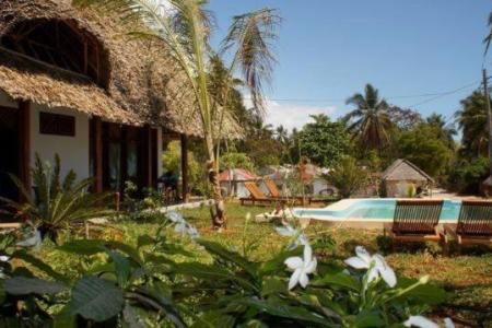 Отель Art Hotel Zanzibar в Джамбиани - Танзания