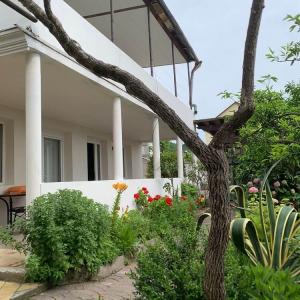 отель У Розы Гостевой дом