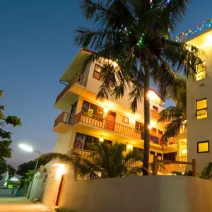 отель Tropic Tree Maldives