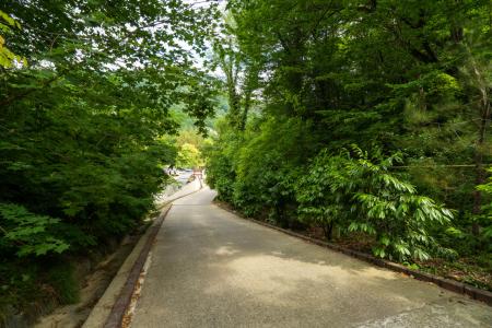 Отель Грейс Небуг Калипсо в Туапсе - Россия