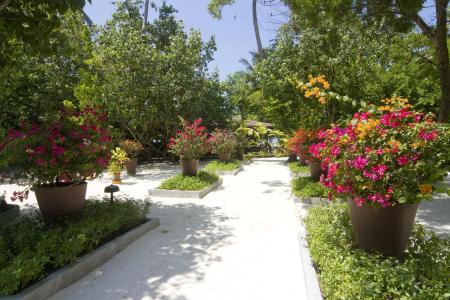 Отель Embudu Village в Южный Мале Атолл - Мальдивы