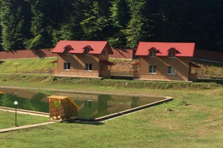 Honey Place Эко-шале (Медовеевка)