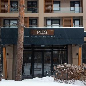 отель Парк-Отель Плес