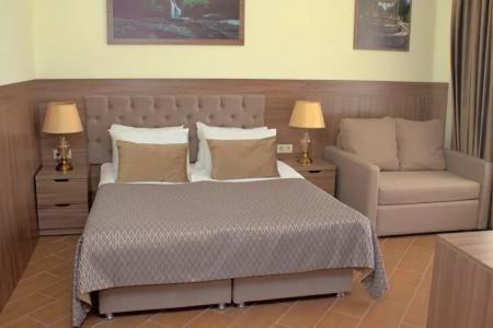 Отель Санаторий Дворец Нарзанов в Кисловодск - Россия