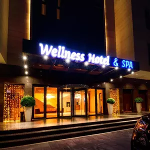 отель Wellness Hotel & SPA