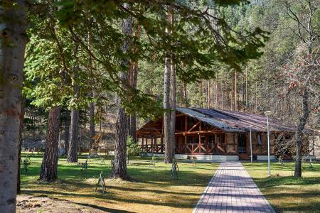 Отель Алтай Парк-отель Подгорица в Алтайский край - Россия