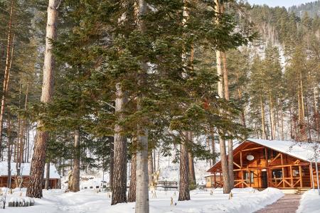 Отель Алтай Парк-отель Подгорица в Алтайский край - Россия