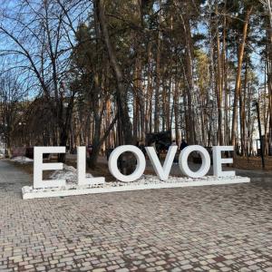 отель Скандинавский парк-отель ELOVOE