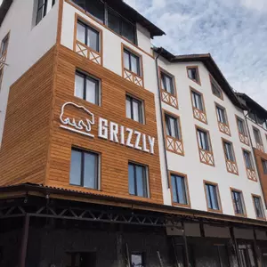 отель Grizzly