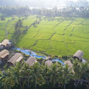отель Beehouse Dijiwa Ubud