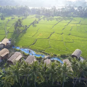 отель Beehouse Dijiwa Ubud