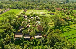 отель Blue Karma Dijiwa Ubud