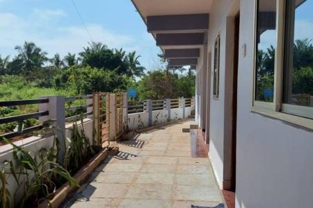 Отель Blue Horizon в Морджим - Индия