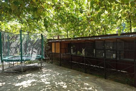 Отель Valentina Guest House (ул. Октябрьская) в Гагра - Абхазия