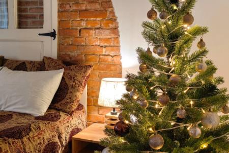 Отель Апартаменты на переулке 2-й Саратовский 3 в Зеленоградск - Россия