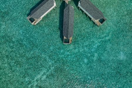 Отель Raaya by Atmosphere в Раа Атолл - Мальдивы