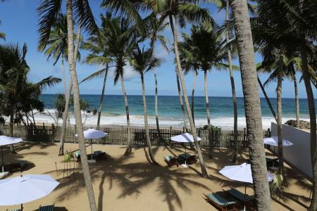 Отель The Beach Hotel Oasis Bridge (Ambalangoda) в Галле - Шри-Ланка