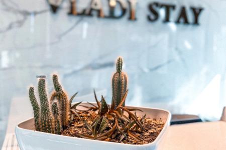 Отель Vladi Stay в Владивосток - Россия