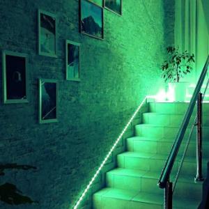 отель Eco House