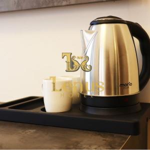 отель Lenus Hotel