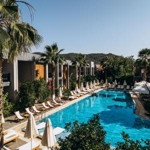 отель Forest In Hotel